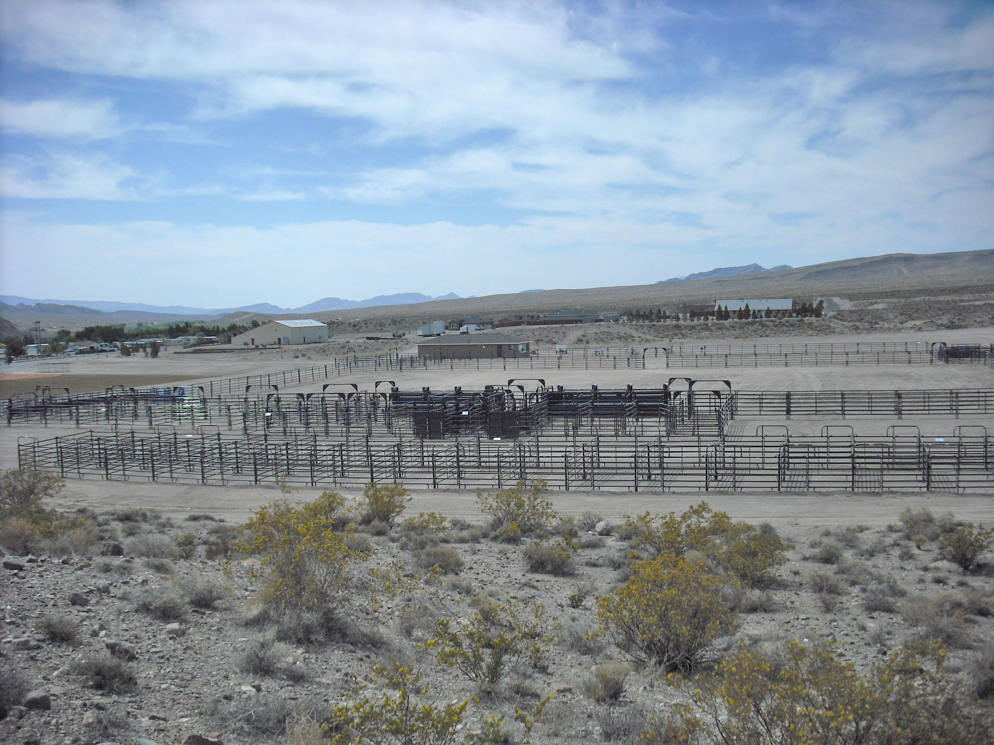 Arena Alamo NV 01.JPG